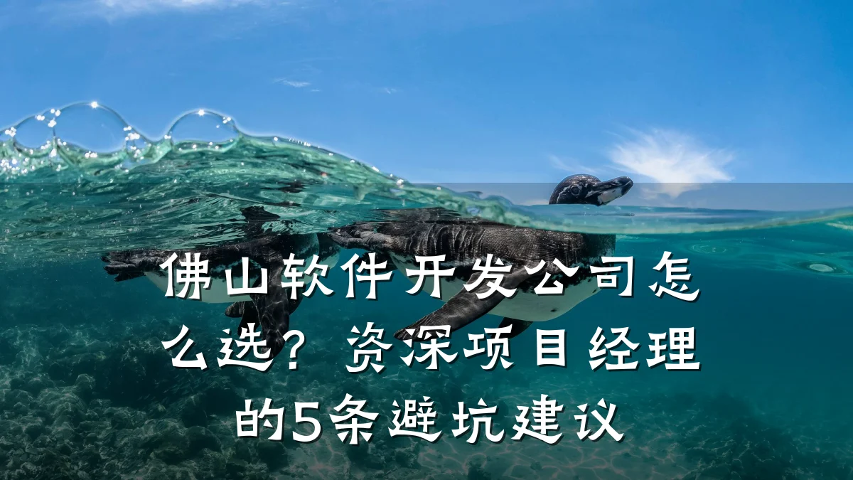佛山软件开发公司怎么选?资深项目经理的5条避坑建议
