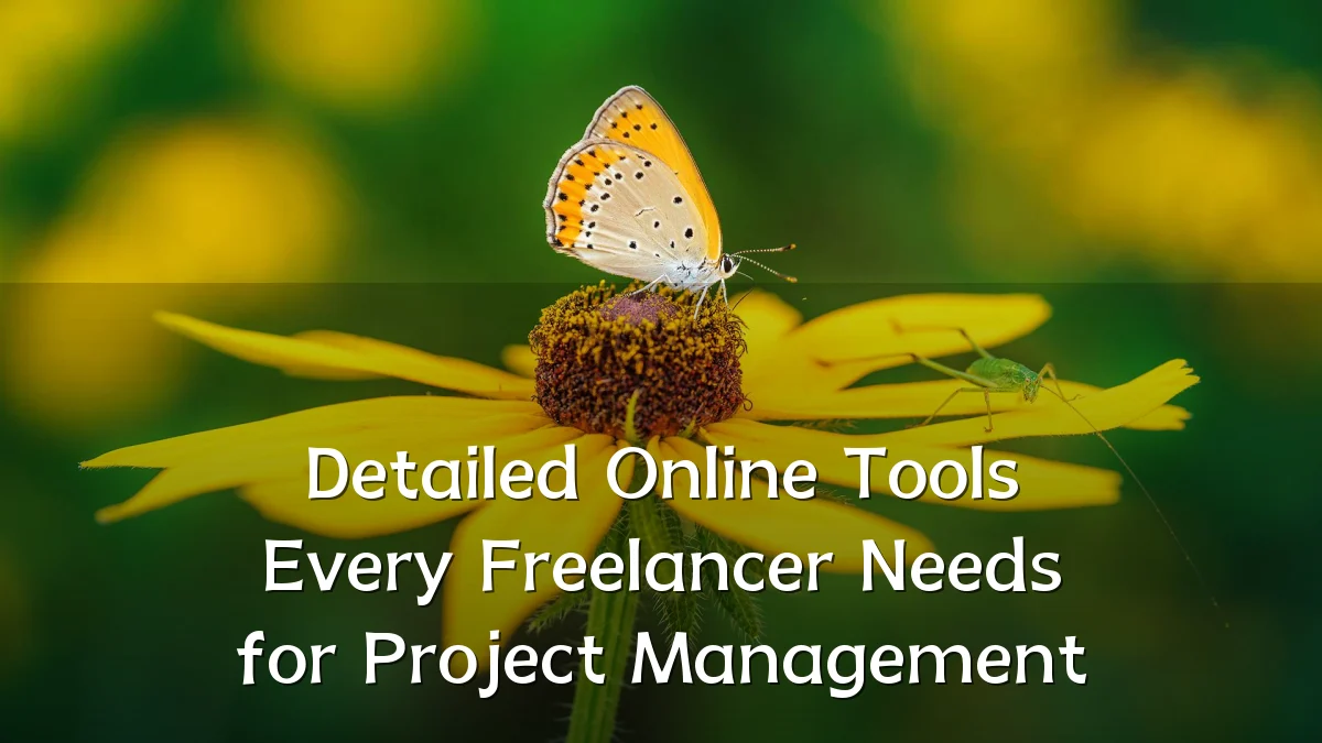 Detailed Online Tools Every Freelancer Needs for Project Management