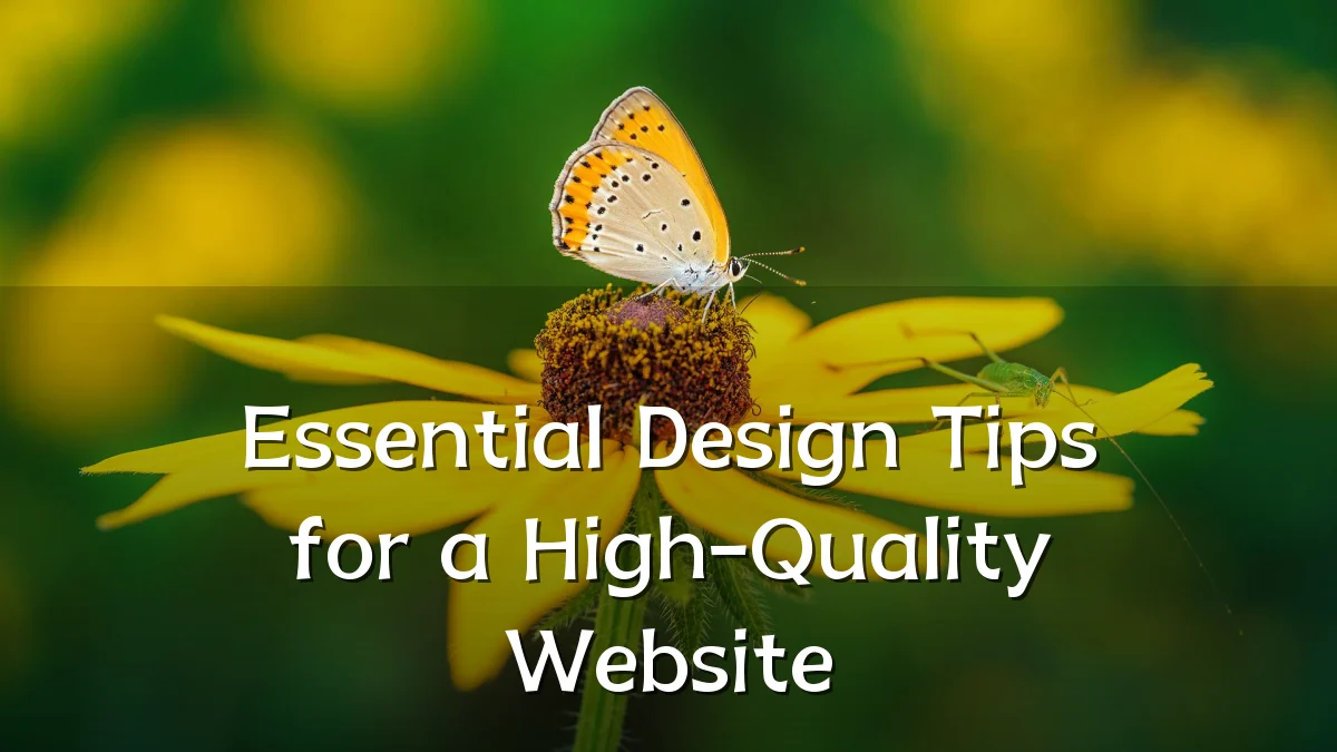 Essential Design Tips for a High-Quality Website