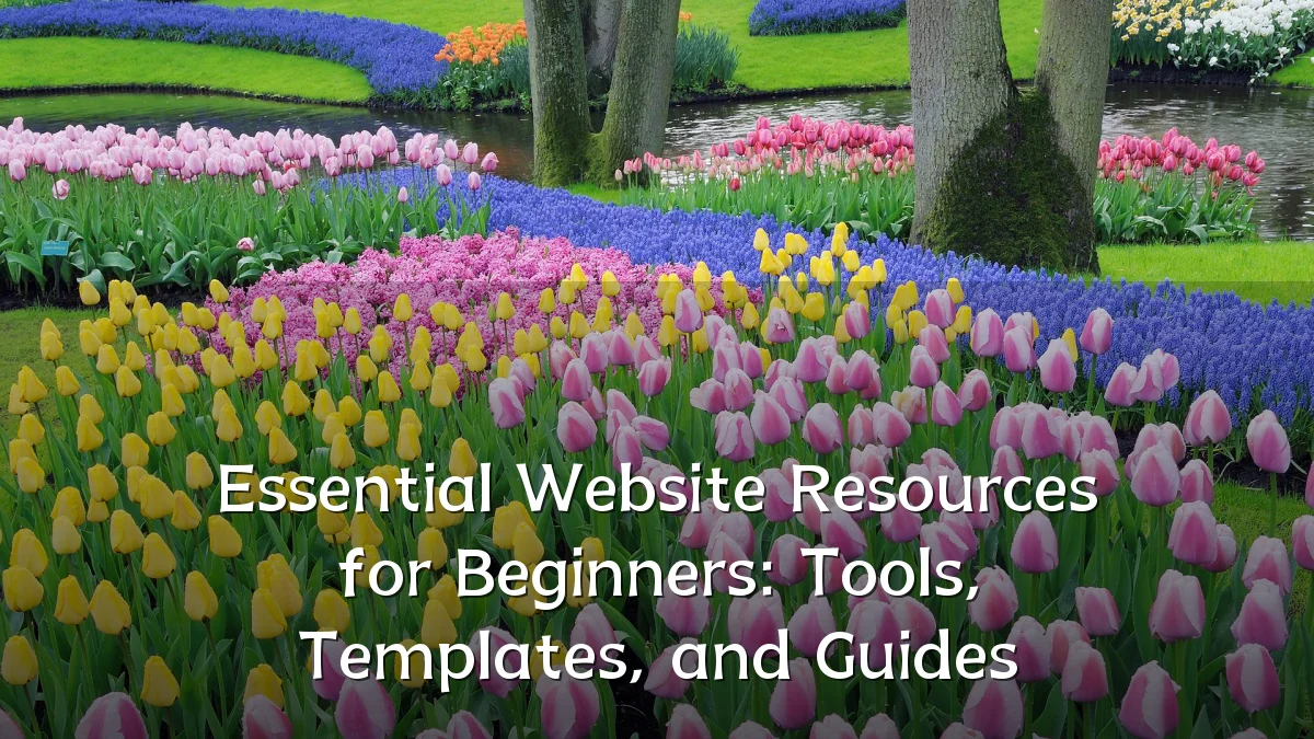 Essential Website Resources for Beginners: Tools, Templates, and Guides
