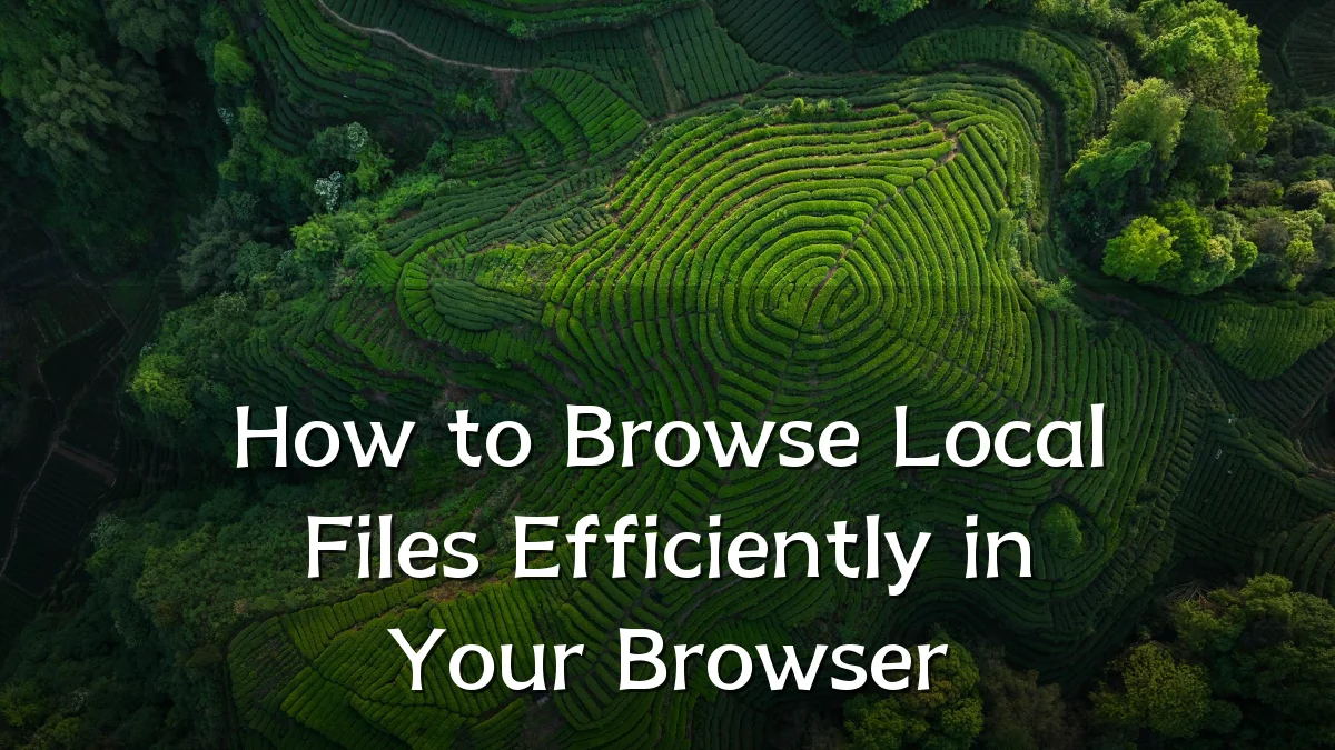 How to Browse Local Files Efficiently in Your Browser