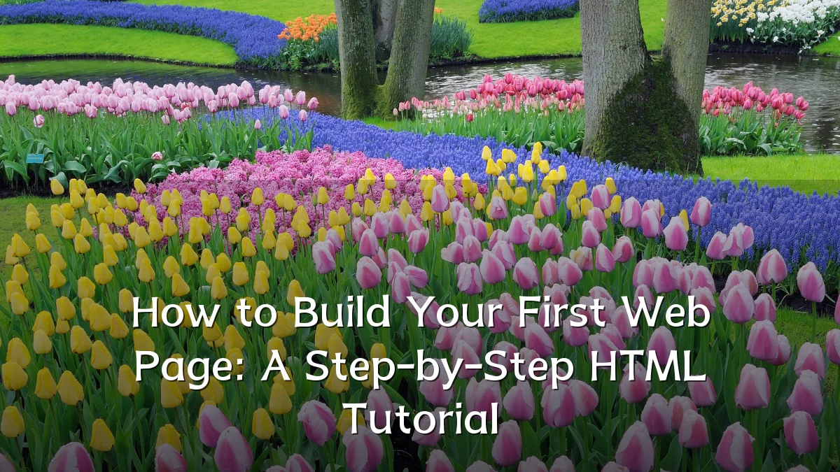 How to Build Your First Web Page: A Step-by-Step HTML Tutorial