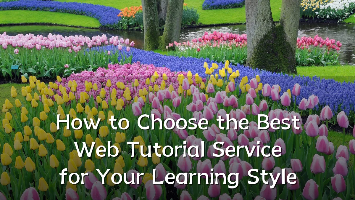 How to Choose the Best Web Tutorial Service for Your Learning Style