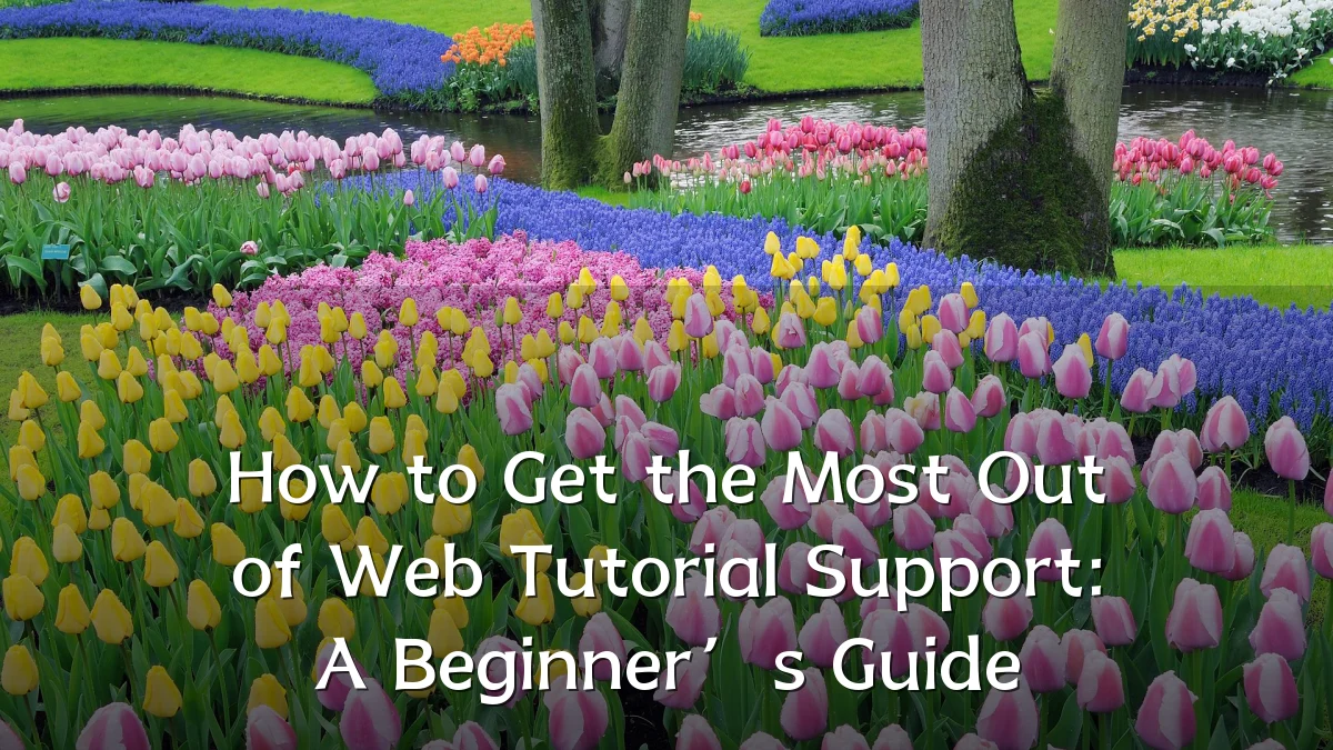 How to Get the Most Out of Web Tutorial Support: A Beginner’s Guide