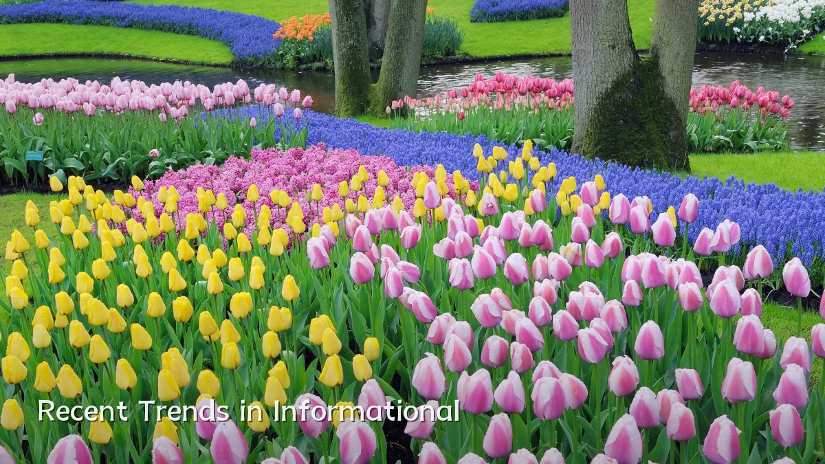 Recent Trends in Informational