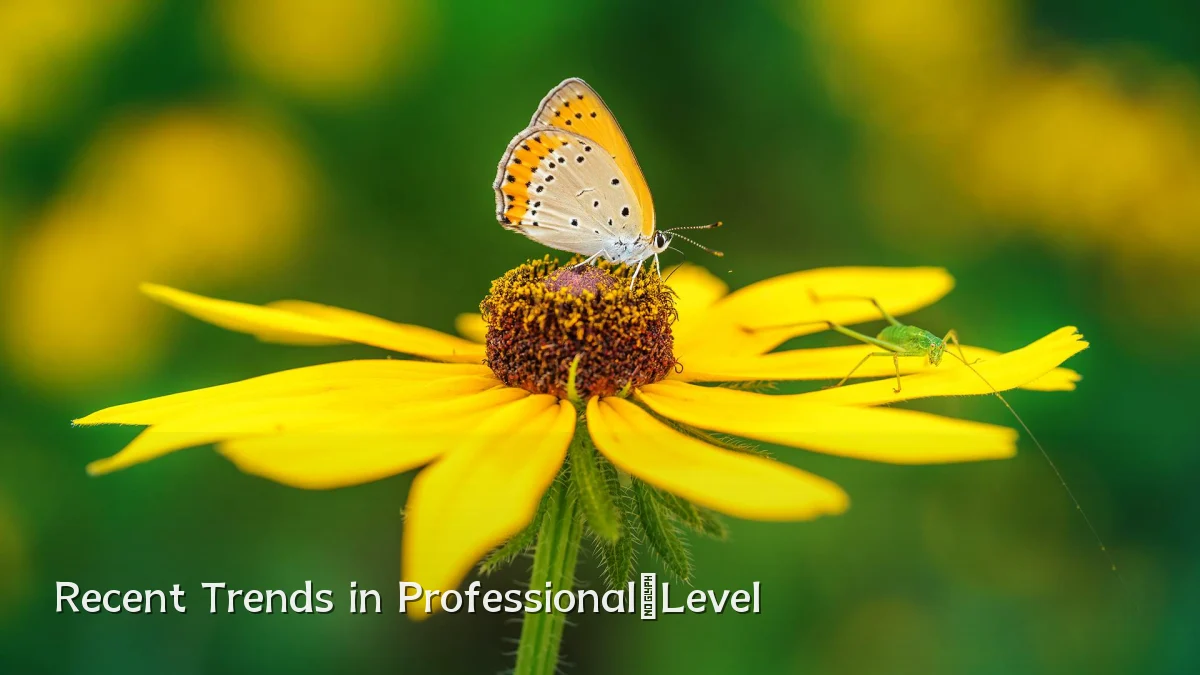 Recent Trends in Professional‑Level