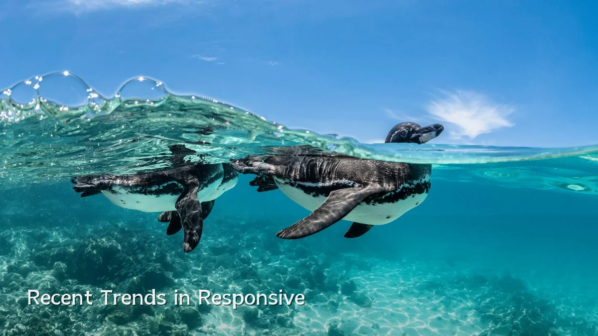 Recent Trends in Responsive
