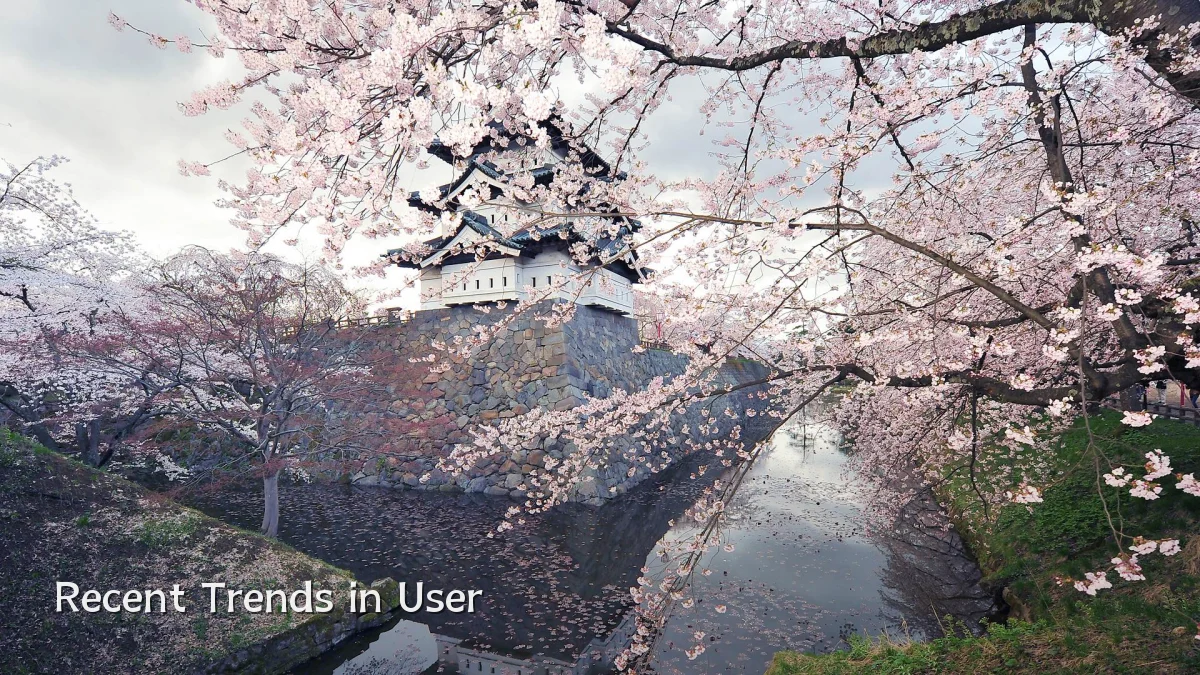 Recent Trends in User