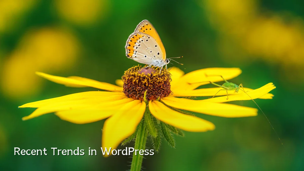 Recent Trends in WordPress