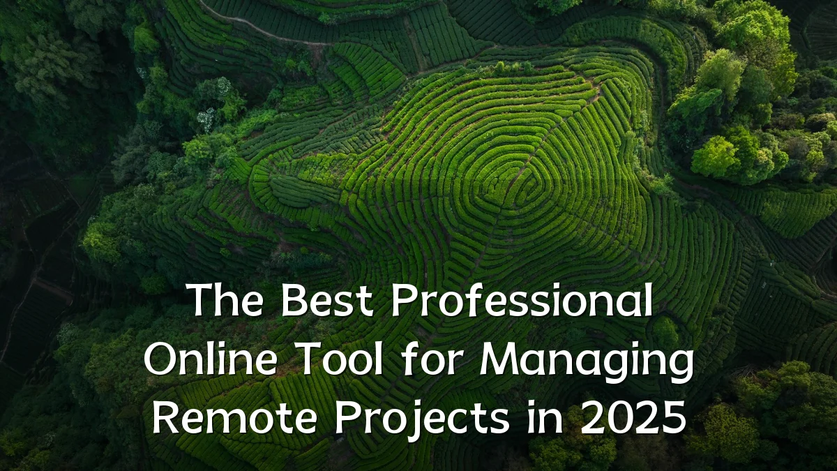 The Best Professional Online Tool for Managing Remote Projects in 2025
