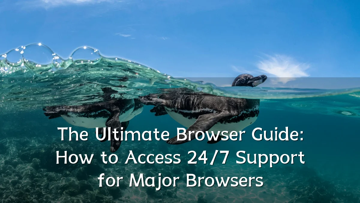 The Ultimate Browser Guide: How to Access 24/7 Support for Major Browsers