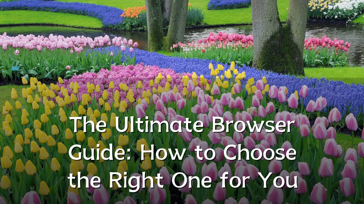 The Ultimate Browser Guide: How to Choose the Right One for You