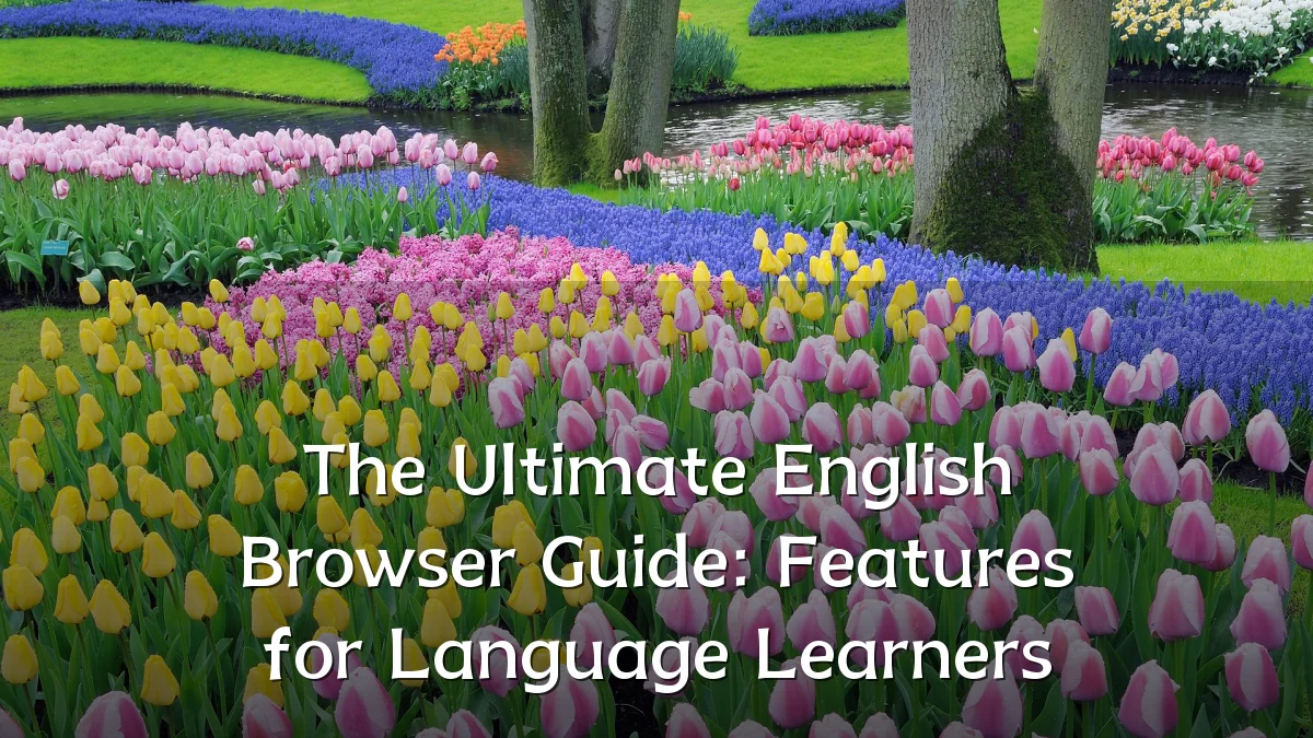 The Ultimate English Browser Guide: Features for Language Learners