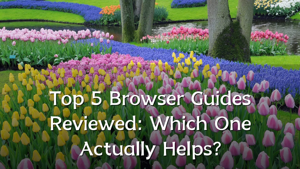 Top 5 Browser Guides Reviewed: Which One Actually Helps?