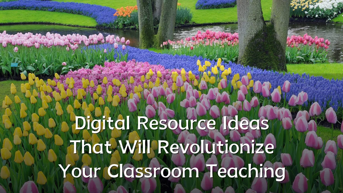 Digital Resource Ideas That Will Revolutionize Your Classroom Teaching