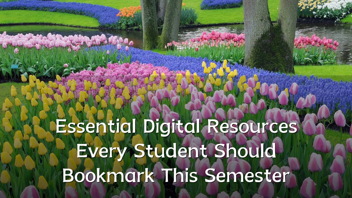 Essential Digital Resources Every Student Should Bookmark This Semester