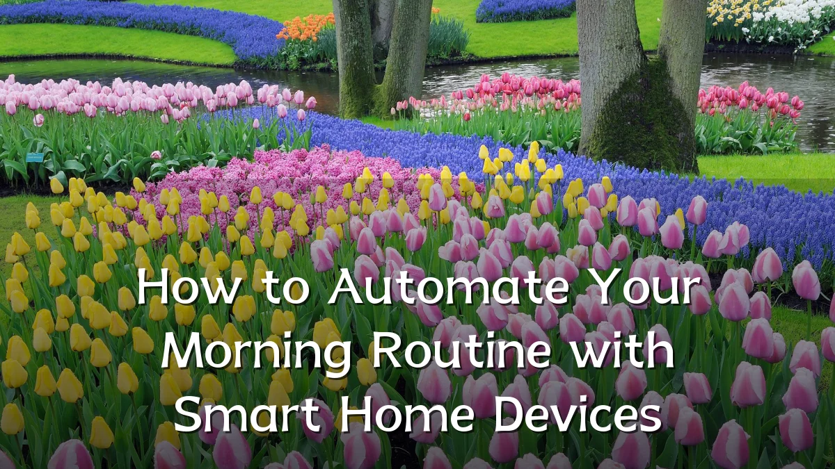 How to Automate Your Morning Routine with Smart Home Devices