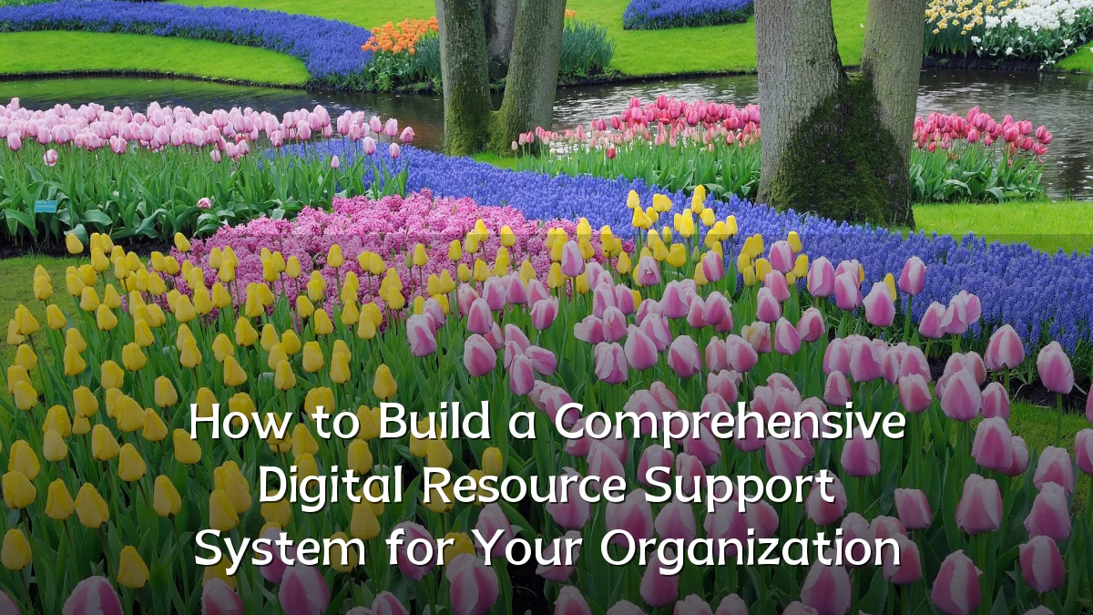 How to Build a Comprehensive Digital Resource Support System for Your Organization