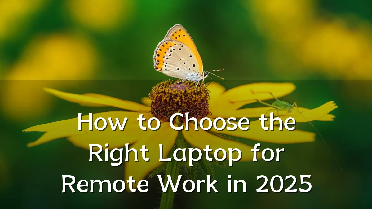 How to Choose the Right Laptop for Remote Work in 2025