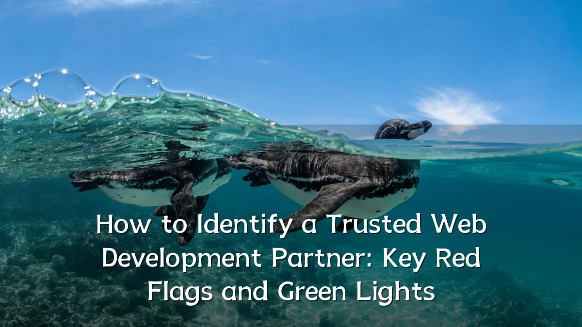 How to Identify a Trusted Web Development Partner: Key Red Flags and Green Lights