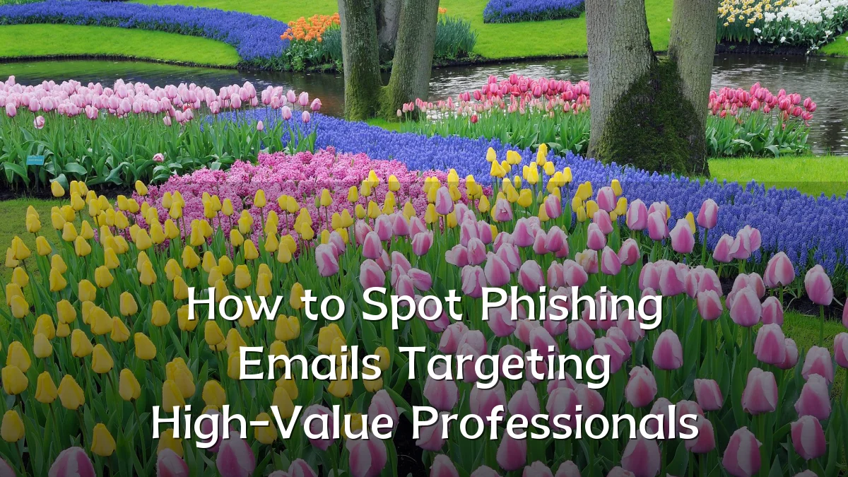 How to Spot Phishing Emails Targeting High-Value Professionals