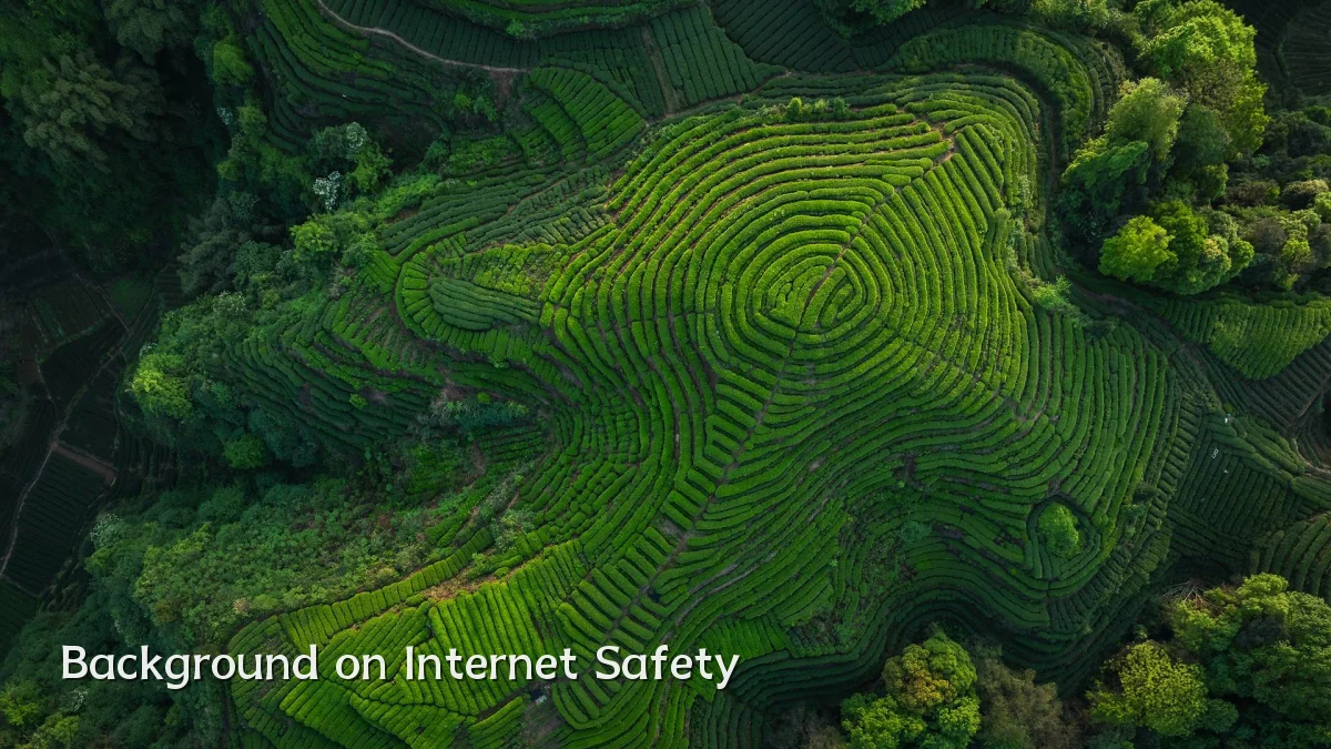 Background on Internet Safety