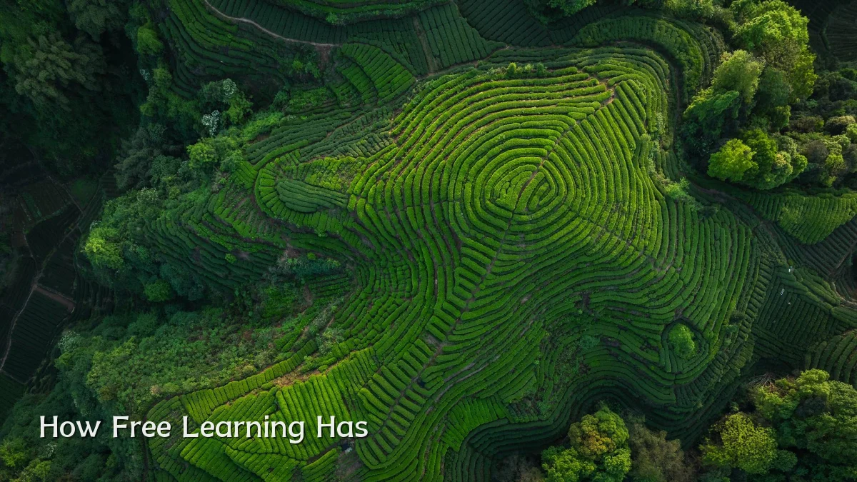 How Free Learning Has