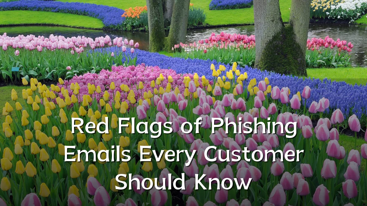 Red Flags of Phishing Emails Every Customer Should Know