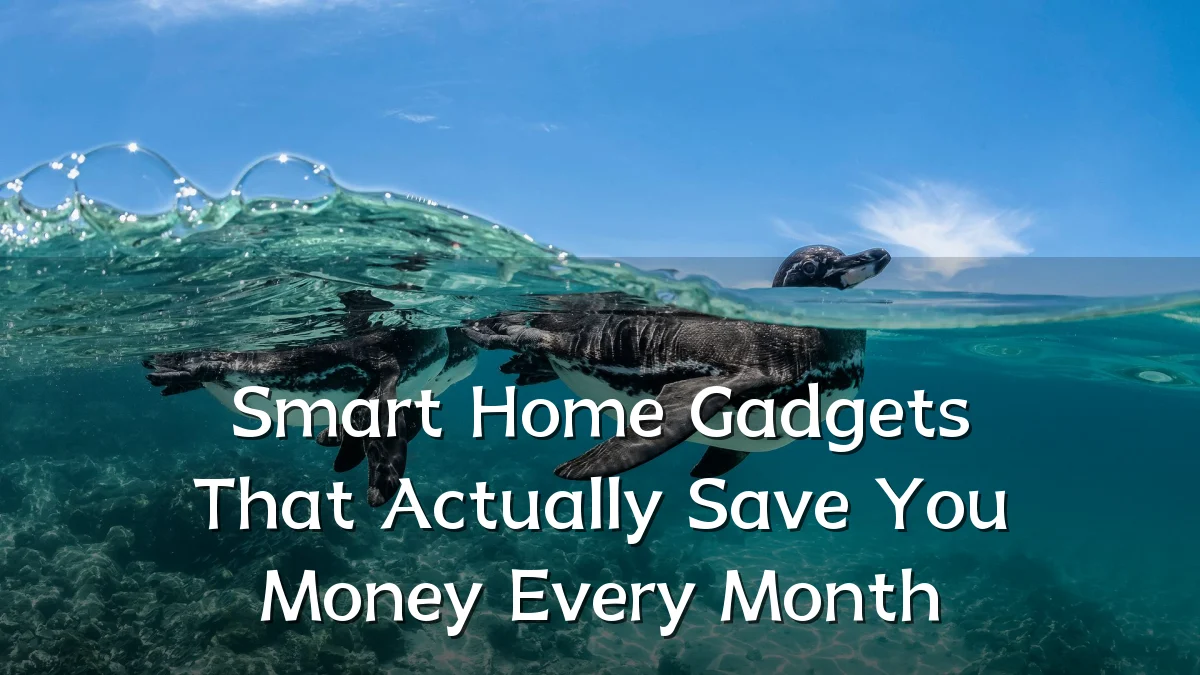 Smart Home Gadgets That Actually Save You Money Every Month