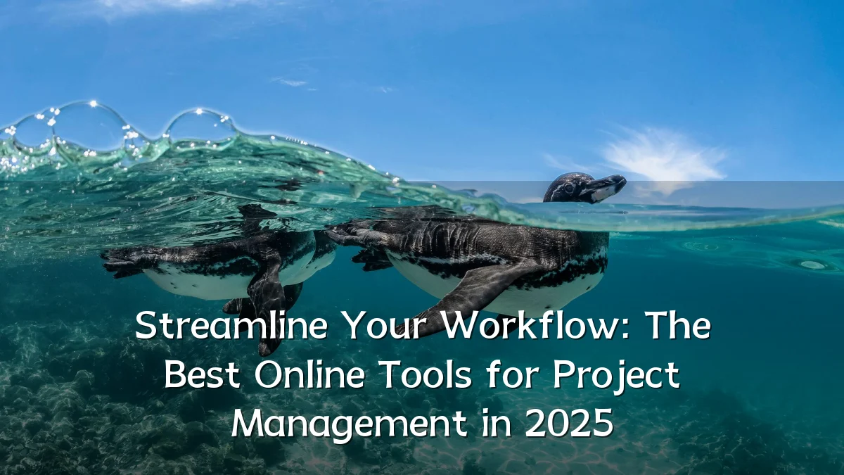 Streamline Your Workflow: The Best Online Tools for Project Management in 2025