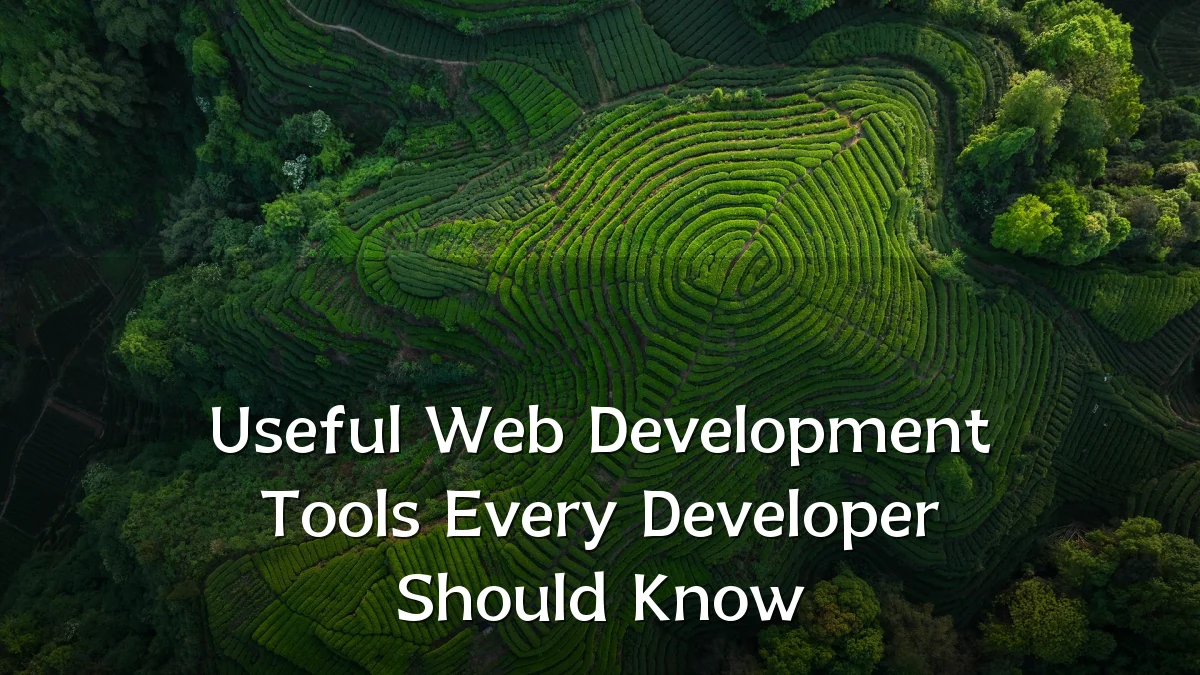 Useful Web Development Tools Every Developer Should Know