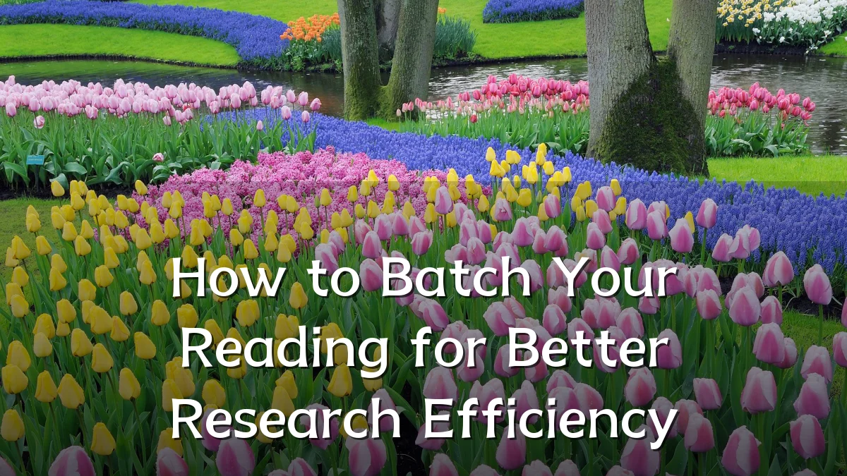 How to Batch Your Reading for Better Research Efficiency