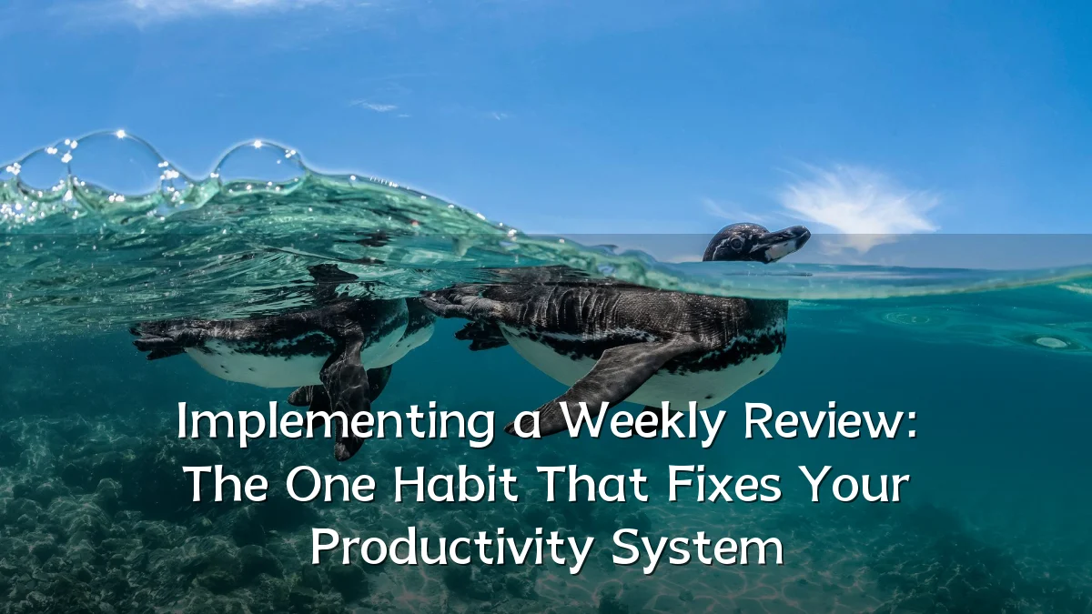 Implementing a Weekly Review: The One Habit That Fixes Your Productivity System