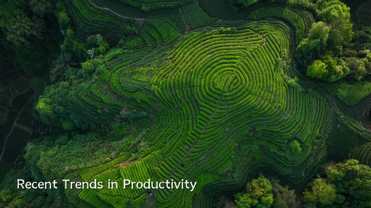 Recent Trends in Productivity