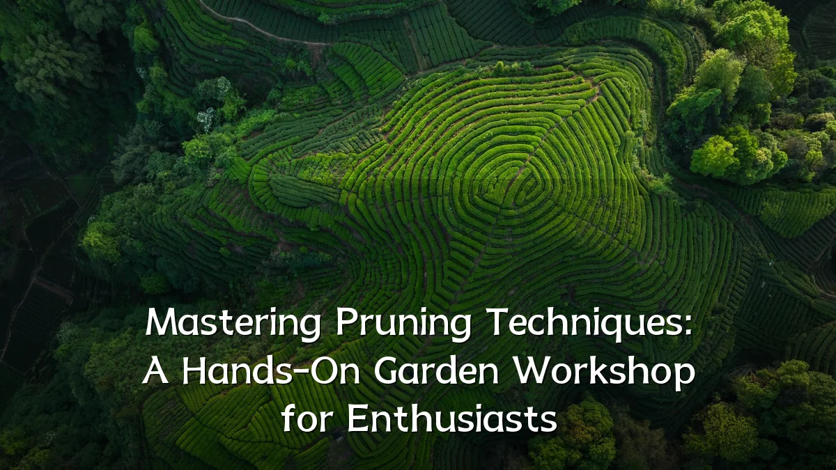 Mastering Pruning Techniques: A Hands-On Garden Workshop for Enthusiasts