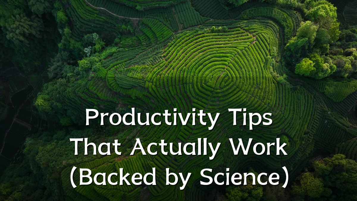 Productivity Tips That Actually Work (Backed by Science)