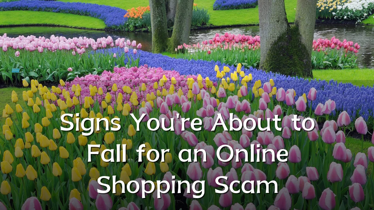 Signs You're About to Fall for an Online Shopping Scam