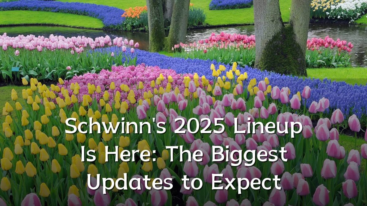 Schwinn's 2025 Lineup Is Here: The Biggest Updates to Expect
