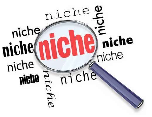 How to Choose a Profitable Niche Topic For Your Blog