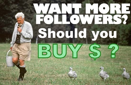 Should You Buy Twitter Followers or not?Should You Buy Twitter Followers or not?