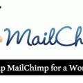 Steps to Use mailchimp on a WordPress Blog