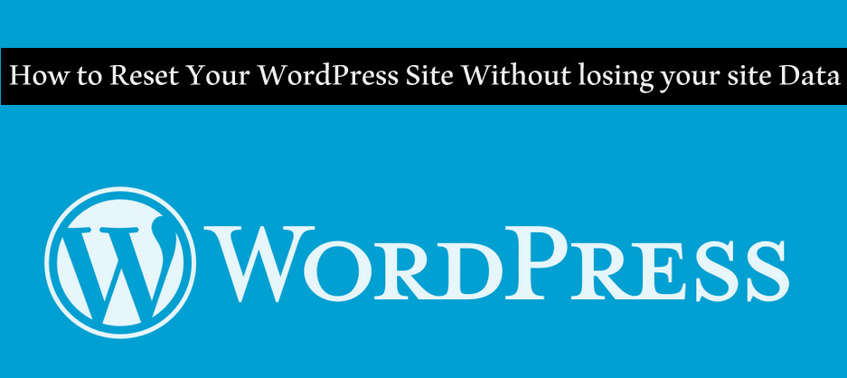 How to Reset Your WordPress Site Without lost your data