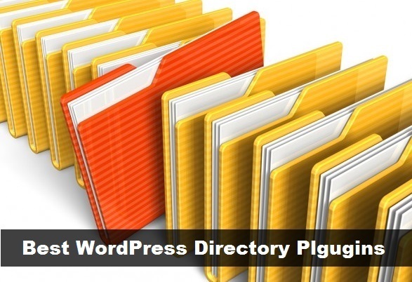 Best Web Directory Plugins for WordPress Free and Pro