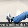 How to Prevent your WordPress blog from Fake Traffic