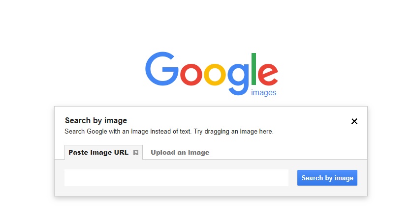 Google Reverse Image Search